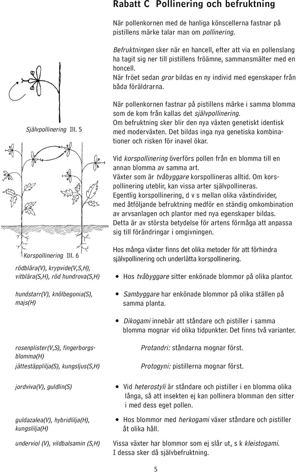 När fröet sedan gror bildas en ny individ med egenskaper från båda föräldrarna. Självpollinering Ill.