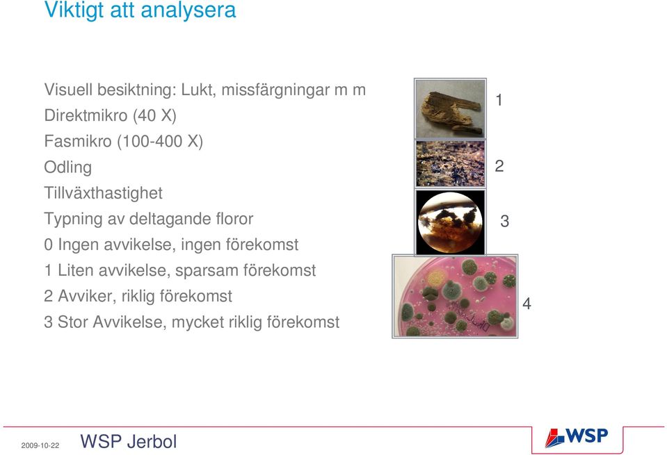 deltagande floror 0 Ingen avvikelse, ingen förekomst 1 Liten avvikelse,