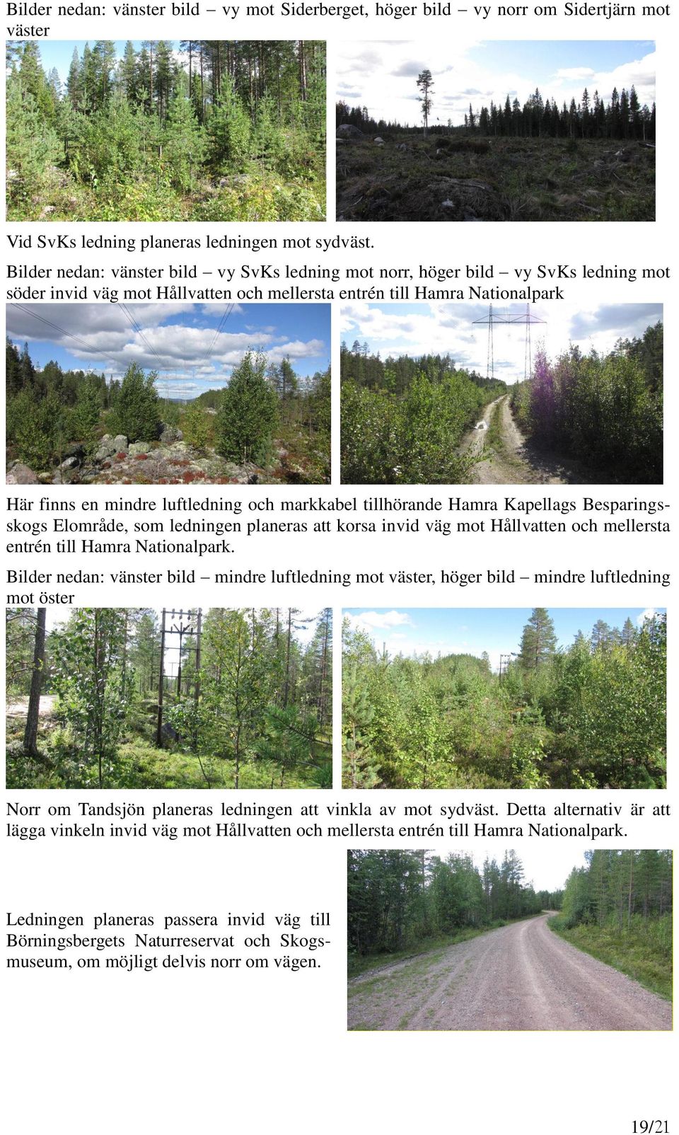 markkabel tillhörande Hamra Kapellags Besparingsskogs Elområde, som ledningen planeras att korsa invid väg mot Hållvatten och mellersta entrén till Hamra Nationalpark.