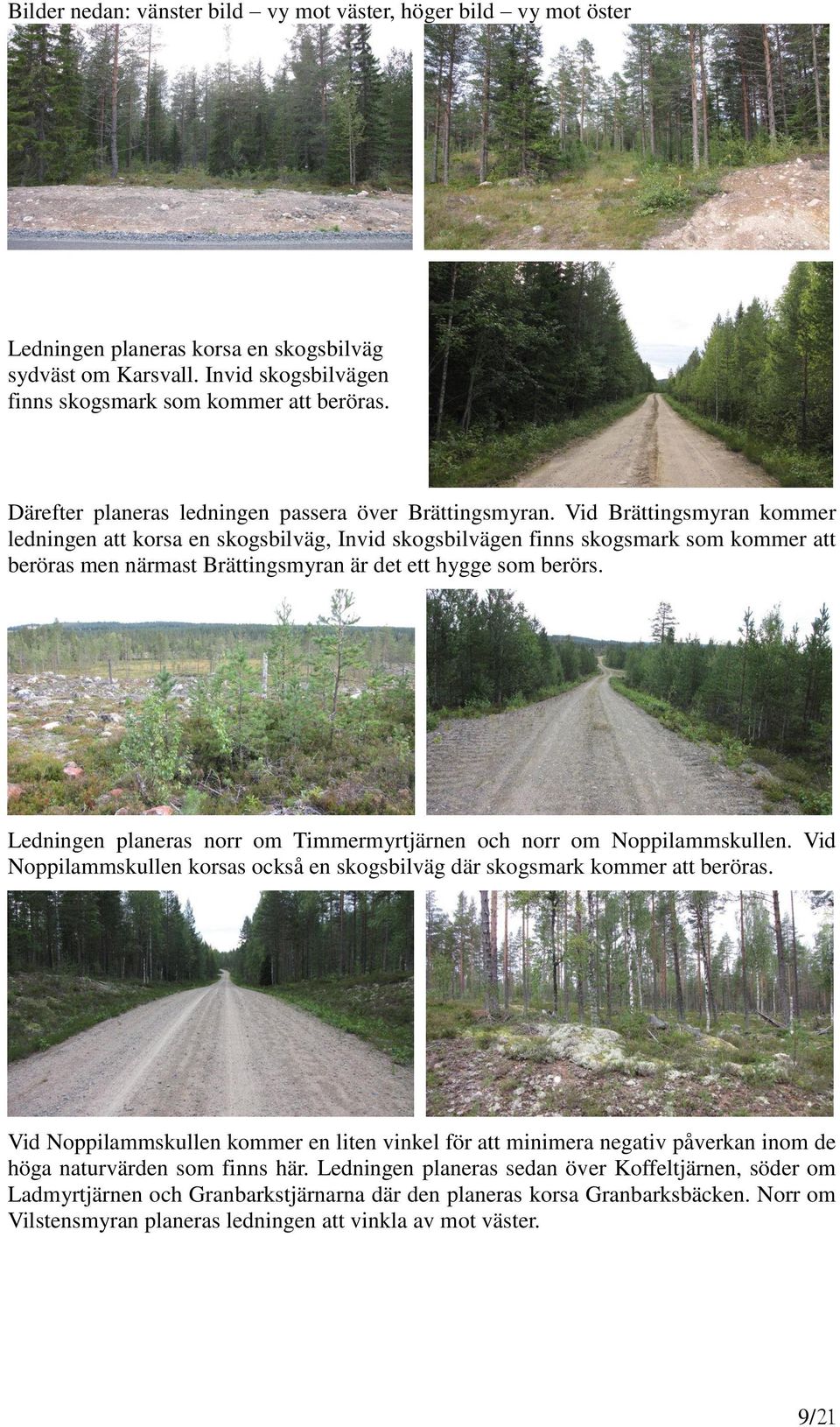 Vid Brättingsmyran kommer ledningen att korsa en skogsbilväg, Invid skogsbilvägen finns skogsmark som kommer att beröras men närmast Brättingsmyran är det ett hygge som berörs.