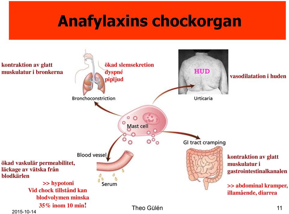 blodkärlen >> hypotoni Vid chock tillstånd kan blodvolymen minska 35% inom 10 min!
