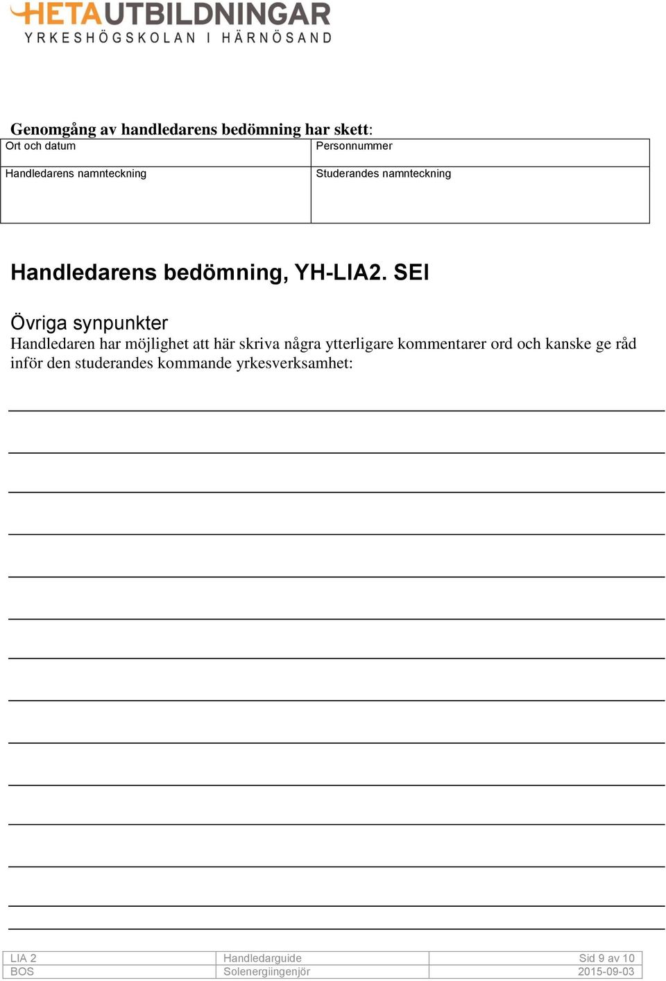 SEI Övriga synpunkter Handledaren har möjlighet att här skriva några ytterligare