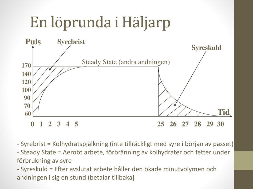 passet) - Steady State = Aerobt arbete, förbränning av kolhydrater och fetter under förbrukning av syre -