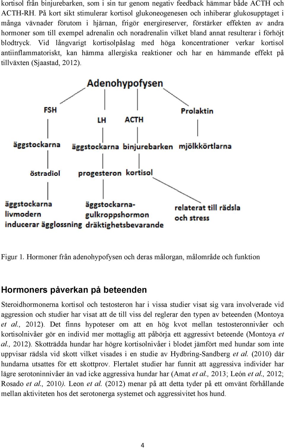adrenalin och noradrenalin vilket bland annat resulterar i förhöjt blodtryck.