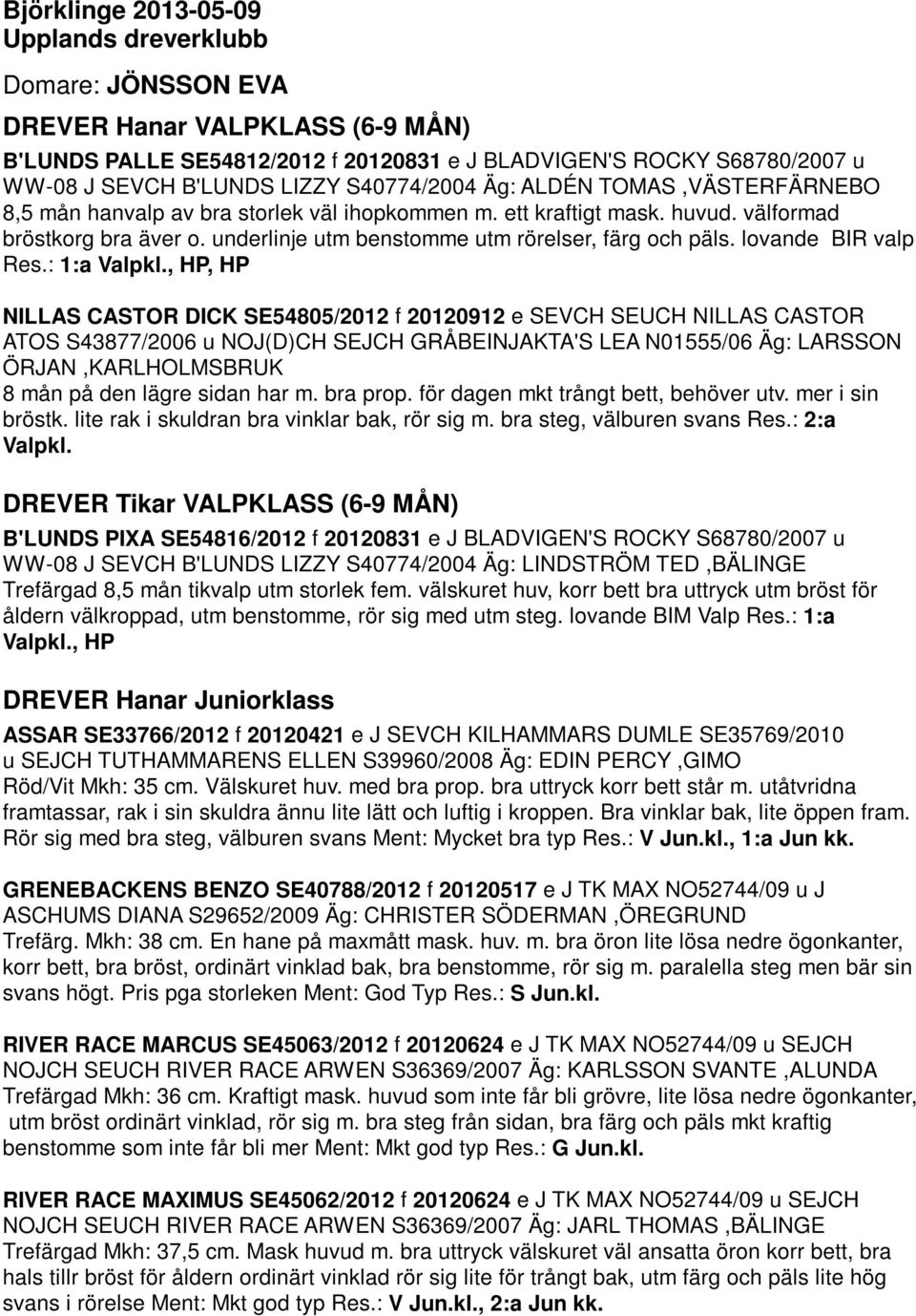 underlinje utm benstomme utm rörelser, färg och päls. lovande BIR valp Res.: 1:a Valpkl.