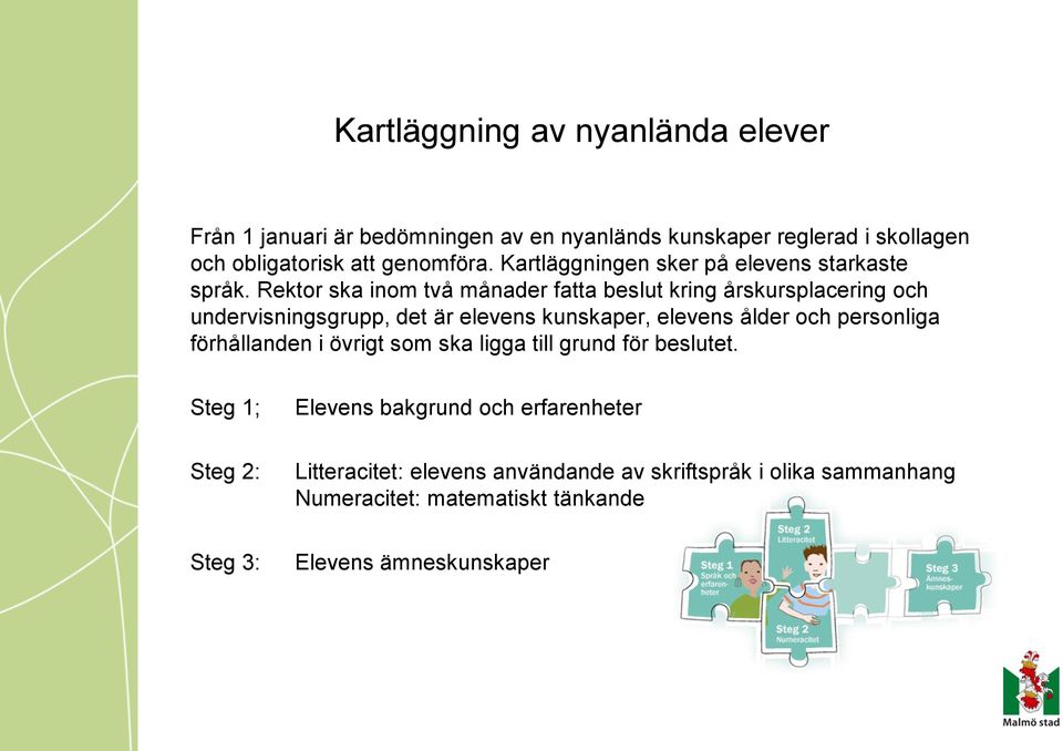 Rektor ska inom två månader fatta beslut kring årskursplacering och undervisningsgrupp, det är elevens kunskaper, elevens ålder och personliga