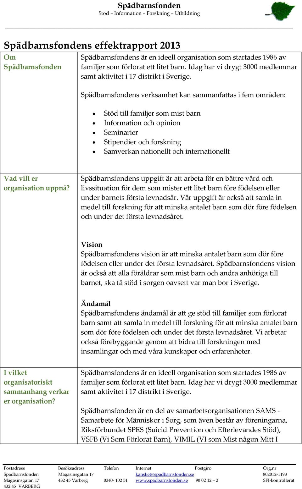 Spädbarnsfondens verksamhet kan sammanfattas i fem områden: Stöd till familjer som mist barn Information och opinion Seminarier Stipendier och forskning Samverkan nationellt och internationellt Vad