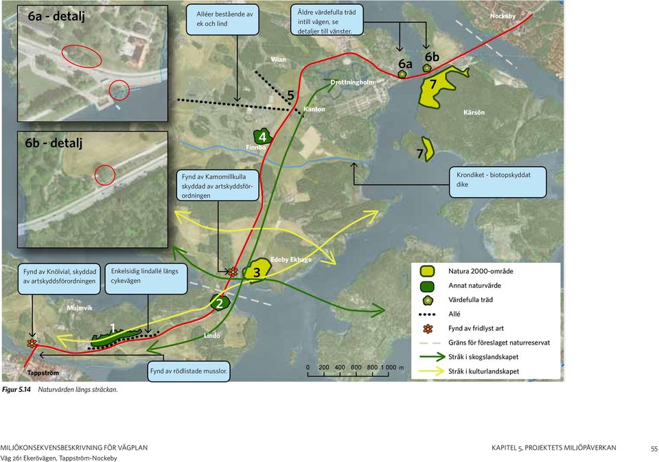 Knölvial, skyddad av artskyddsförordningen Enkelsidig lindallé längs cykevägen 3 Edeby Ekhage Natura 2000-område Annat naturvärde Malmvik 1 2 Lindö Värdefulla träd Allé Fynd
