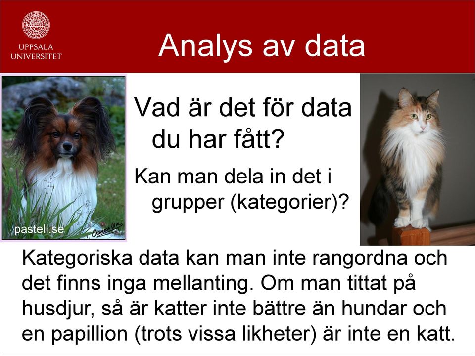 Kategoriska data kan man inte rangordna och det finns inga mellanting.