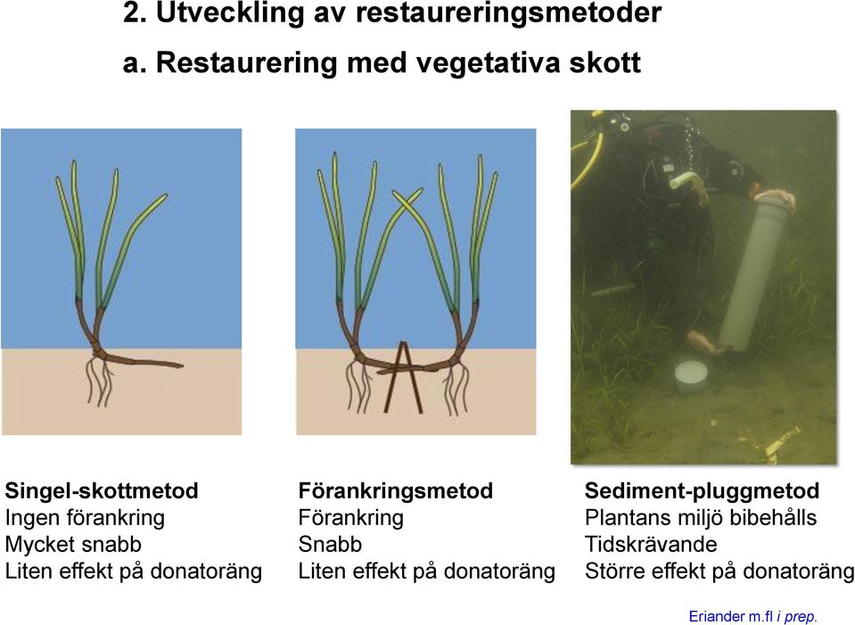 snabb Liten effekt på donatoräng Förankringsmetod Förankring Snabb Liten effekt