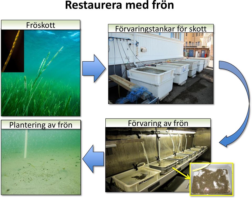 Förvaringstankar för