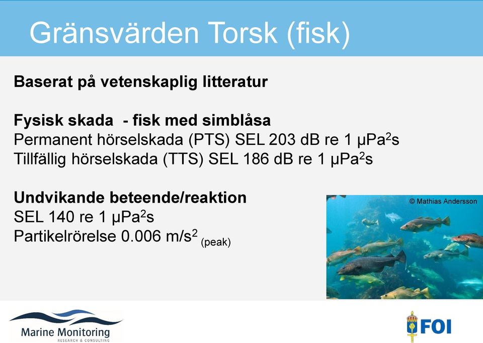 Tillfällig hörselskada (TTS) SEL 186 db re 1 μpa 2 s Undvikande