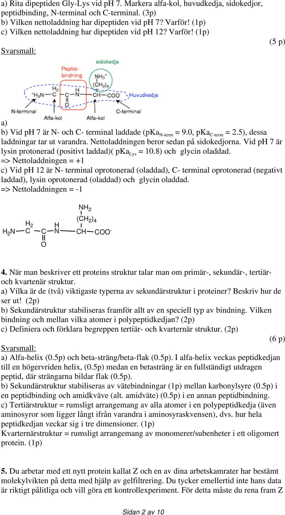 Nettoladdningen beror sedan på sidokedjorna. Vid ph 7 är lysin protonerad (positivt laddad)( pka Lys = 10.8) och glycin oladdad.