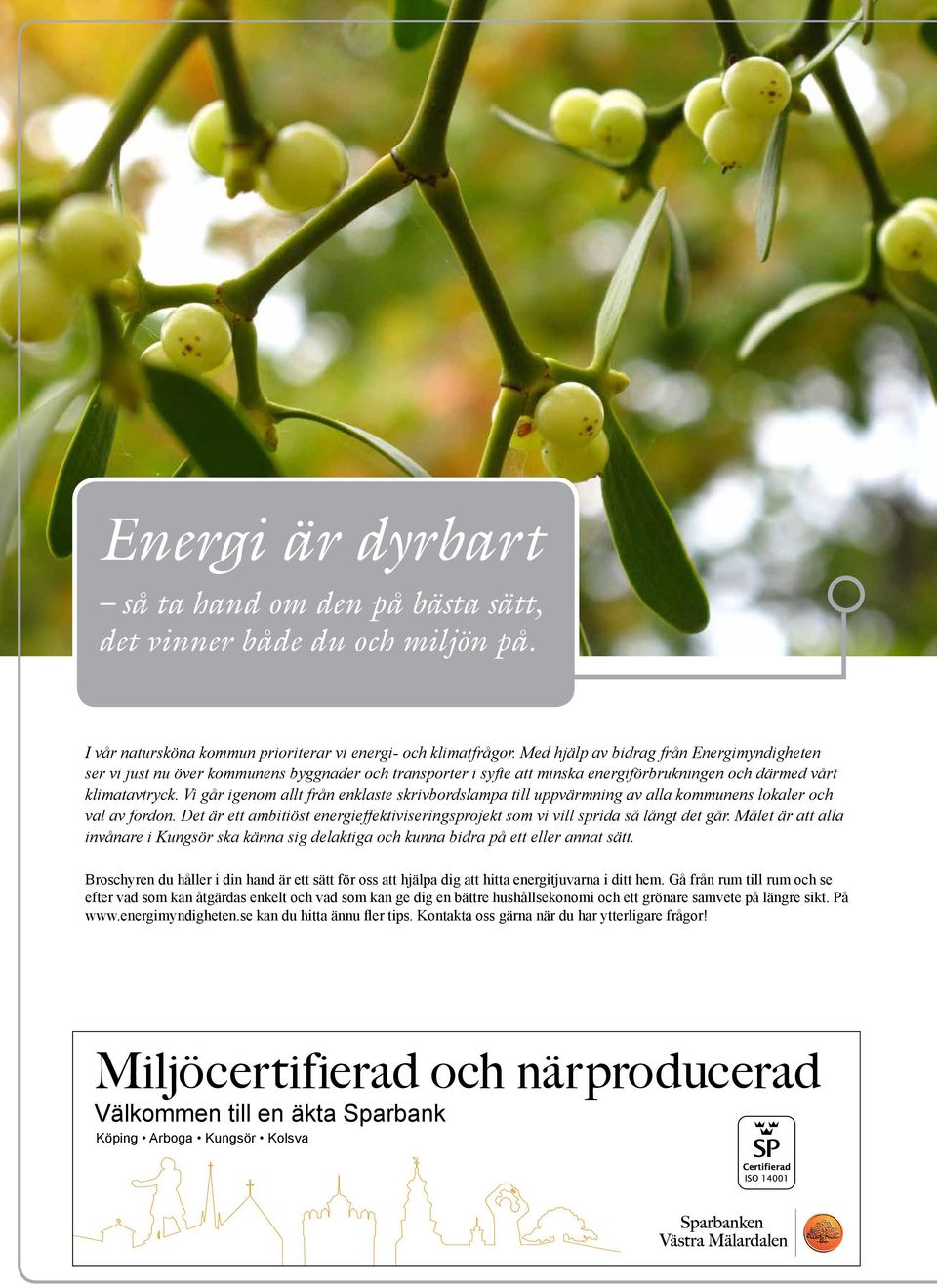 Vi går igenom allt från enklaste skrivbordslampa till uppvärmning av alla kommunens lokaler och val av fordon. Det är ett ambitiöst energieffektiviseringsprojekt som vi vill sprida så långt det går.