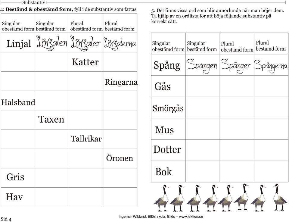 Ta hjälp av en ordlista för att böja följande substantiv på korrekt sätt.