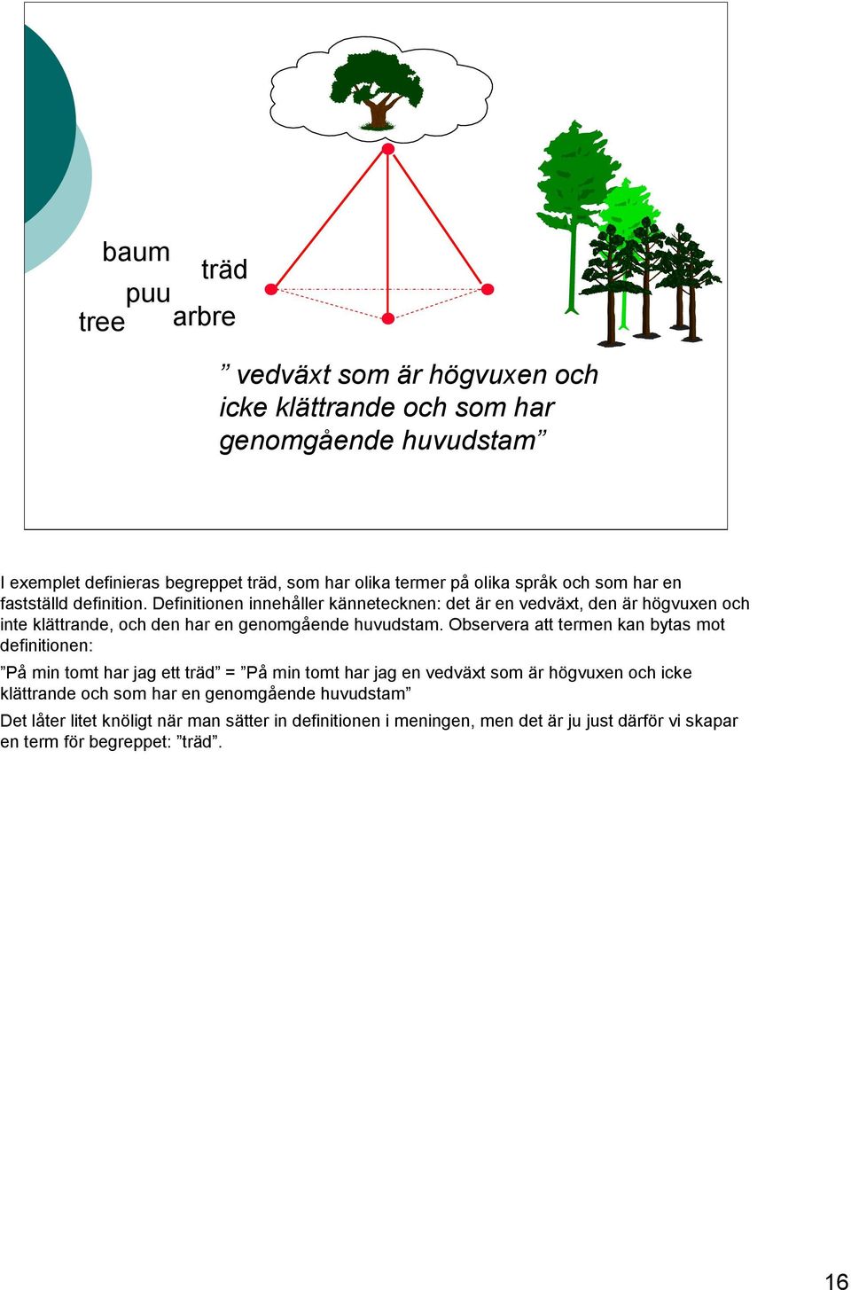 Definitionen innehåller kännetecknen: det är en vedväxt, den är högvuxen och inte klättrande, och den har en genomgående huvudstam.