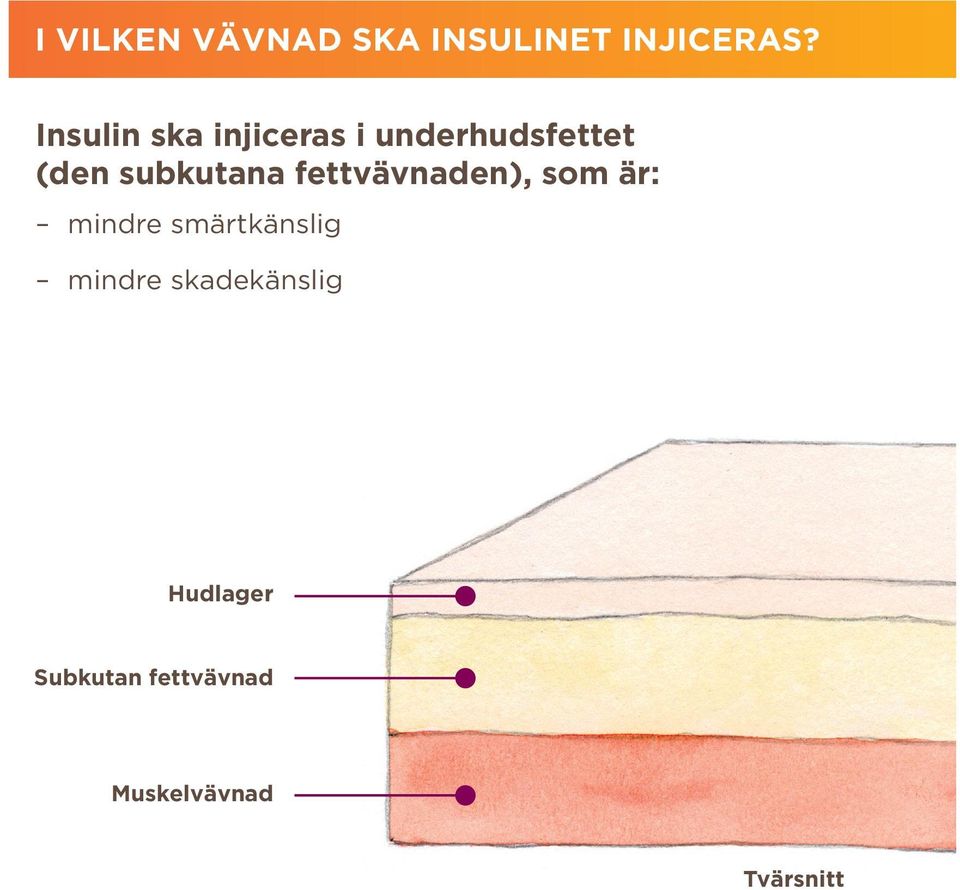 subkutana fettvävnaden), som är: mindre smärtkänslig