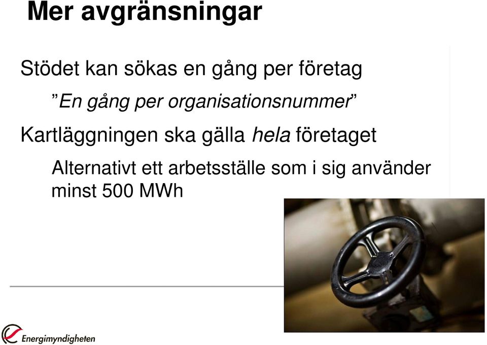 Kartläggningen ska gälla hela företaget