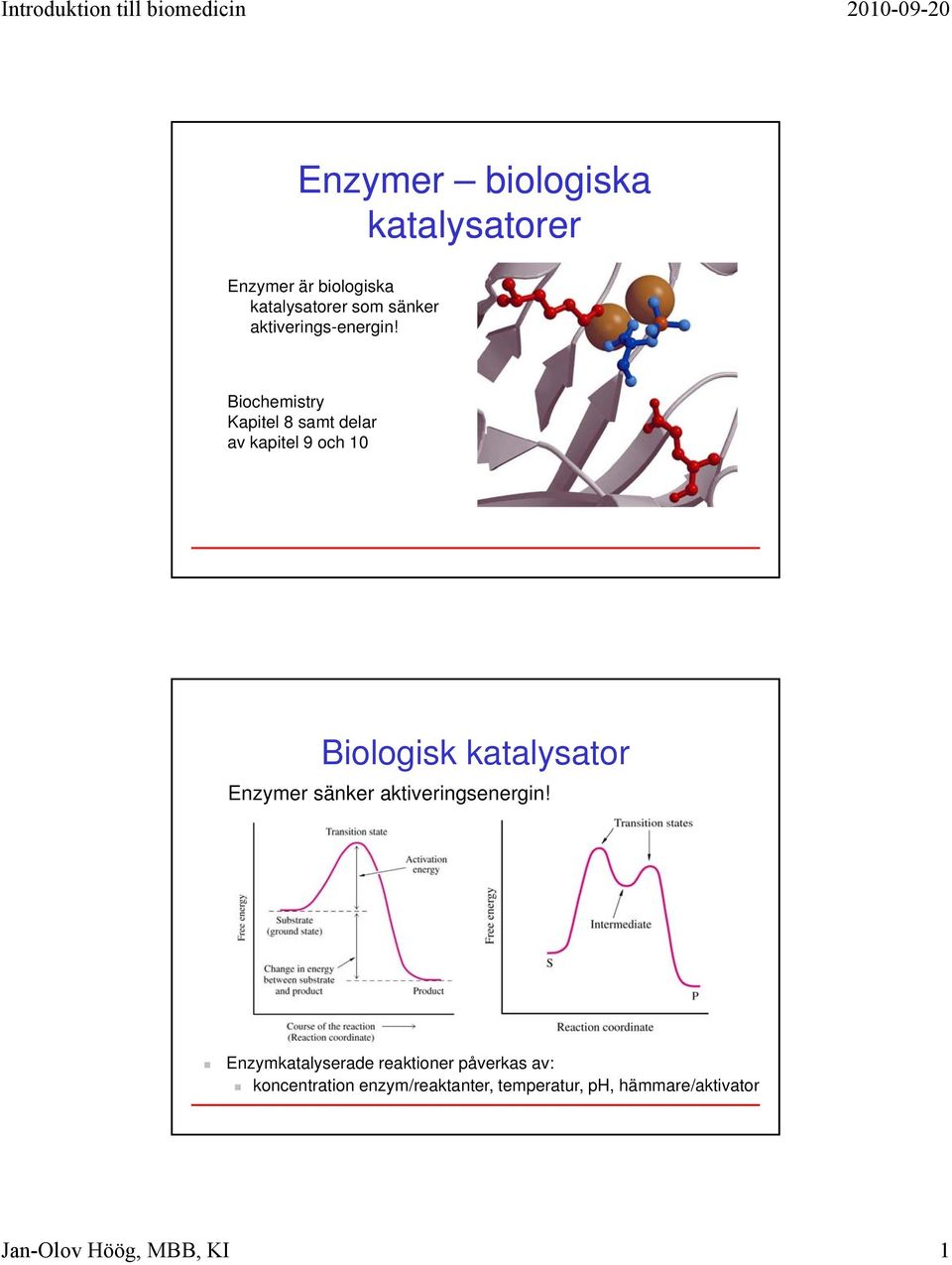 Biochemistry Kapitel 8 samt delar av kapitel 9 och 10 Biologisk katalysator Enzymer