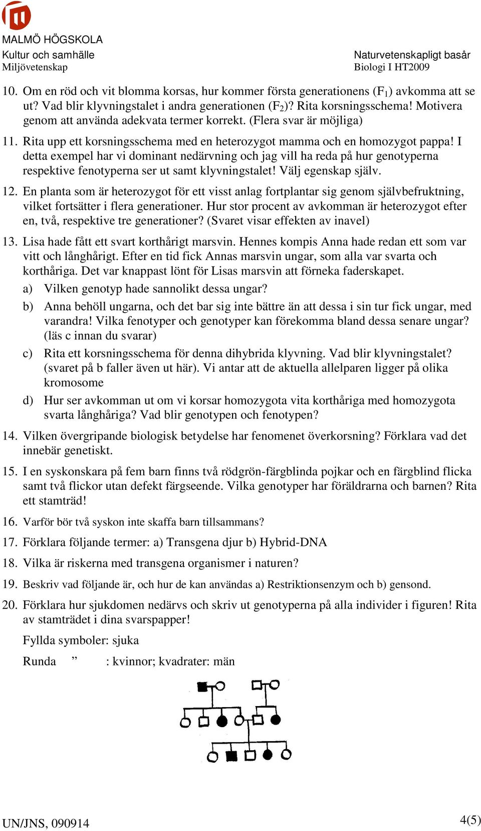 I detta exempel har vi dominant nedärvning och jag vill ha reda på hur genotyperna respektive fenotyperna ser ut samt klyvningstalet! Välj egenskap själv. 12.