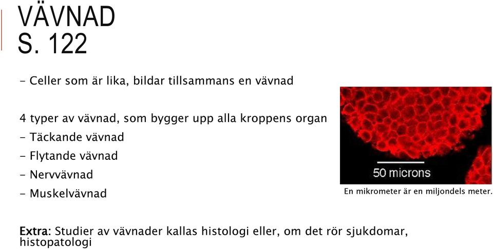 som bygger upp alla kroppens organ - Täckande vävnad - Flytande vävnad -