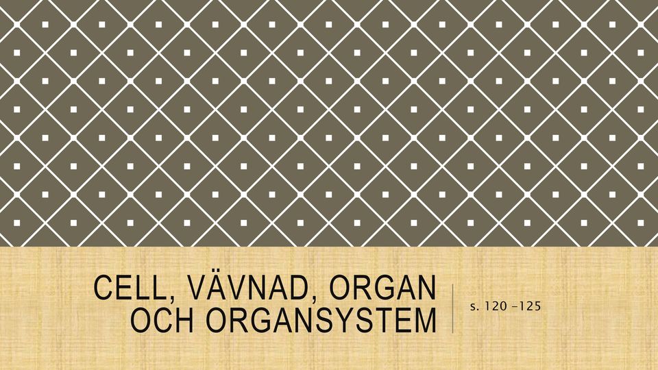 ORGAN OCH