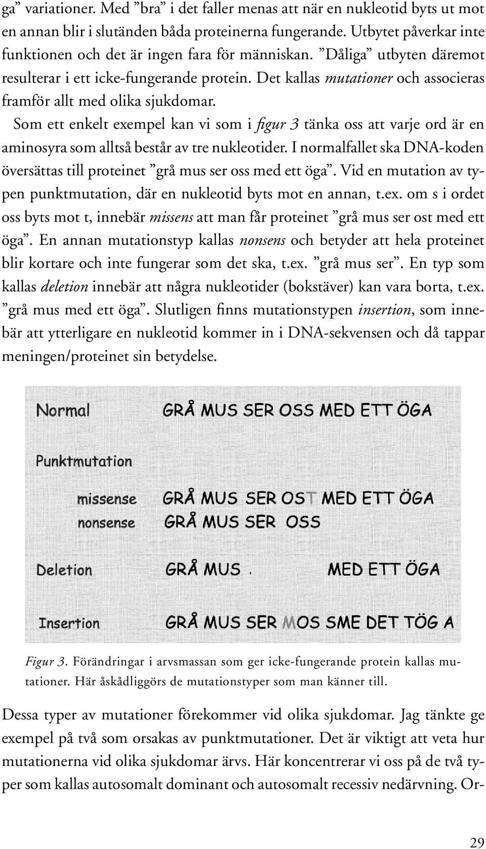 Som ett enkelt exempel kan vi som i figur 3 tänka oss att varje ord är en aminosyra som alltså består av tre nukleotider.