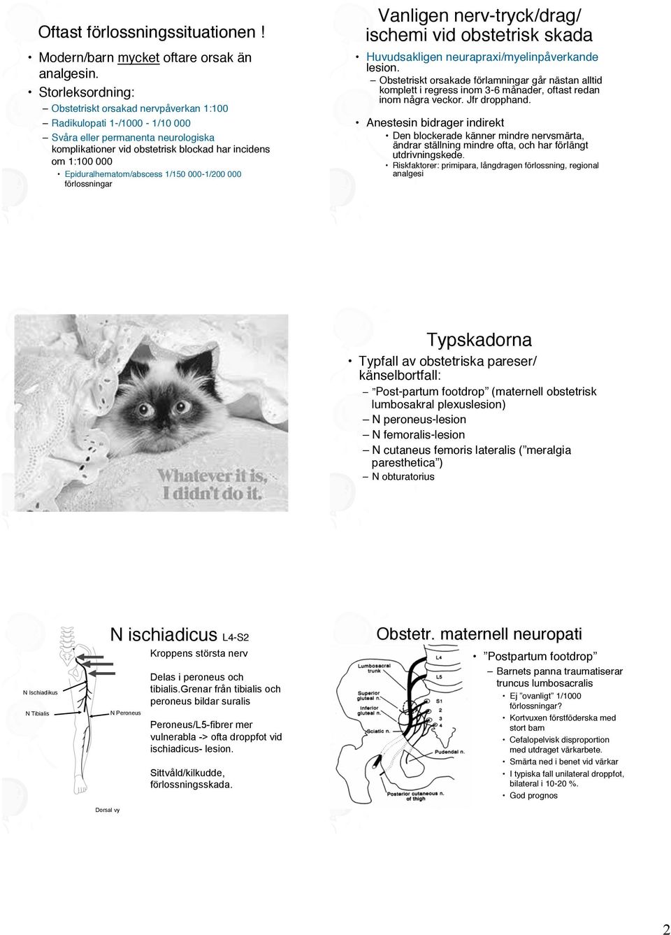 Epiduralhematom/abscess 1/150 000-1/200 000 förlossningar" Vanligen nerv-tryck/drag/ ischemi vid obstetrisk skada" Huvudsakligen neurapraxi/myelinpåverkande lesion.