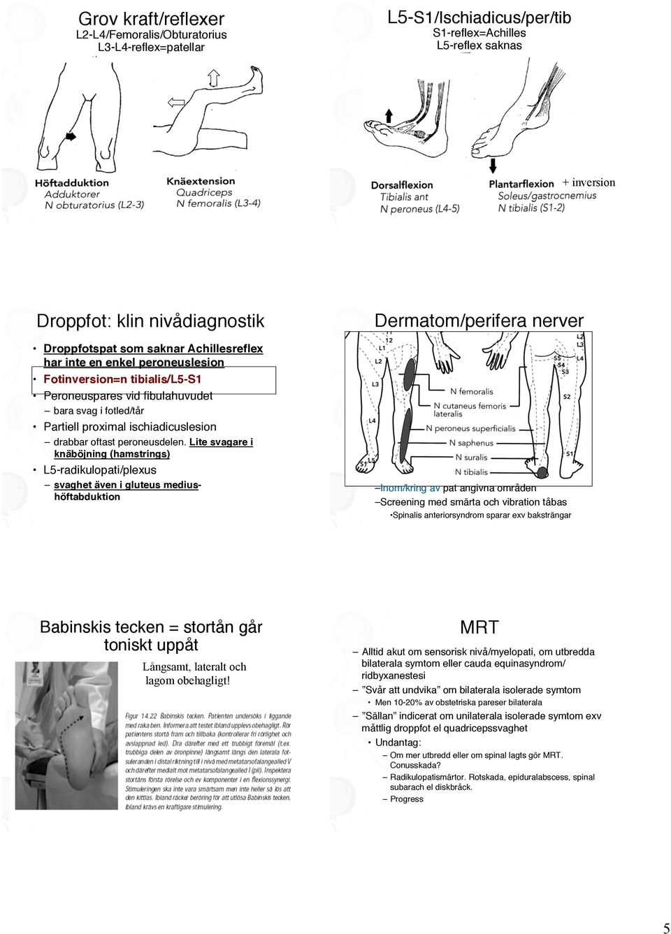 Peroneuspares vid fibulahuvudet" bara svag i fotled/tår" Partiell proximal ischiadicuslesion" drabbar oftast peroneusdelen.