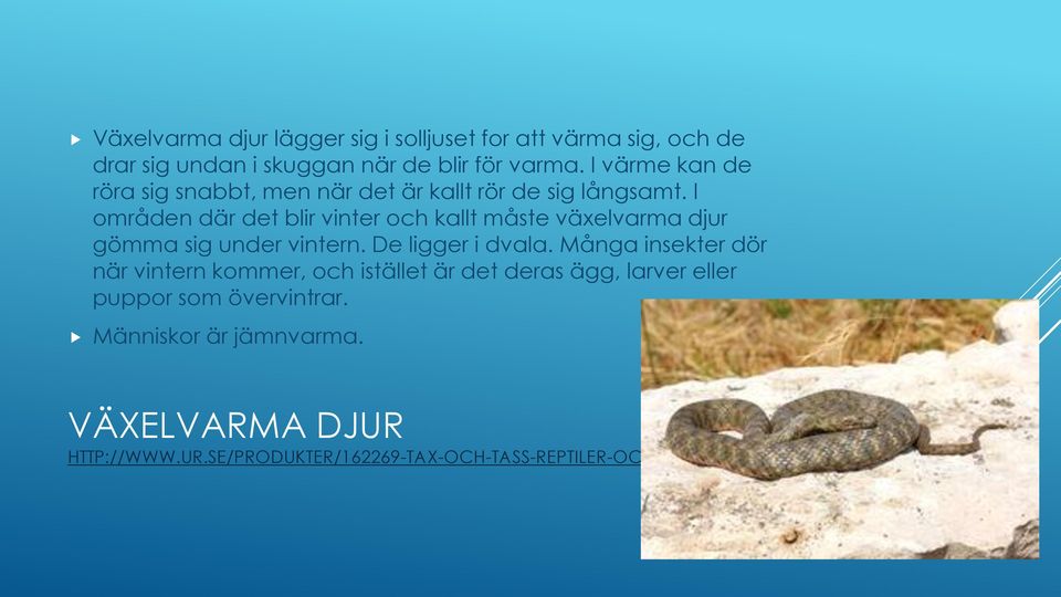 I områden där det blir vinter och kallt måste växelvarma djur gömma sig under vintern. De ligger i dvala.