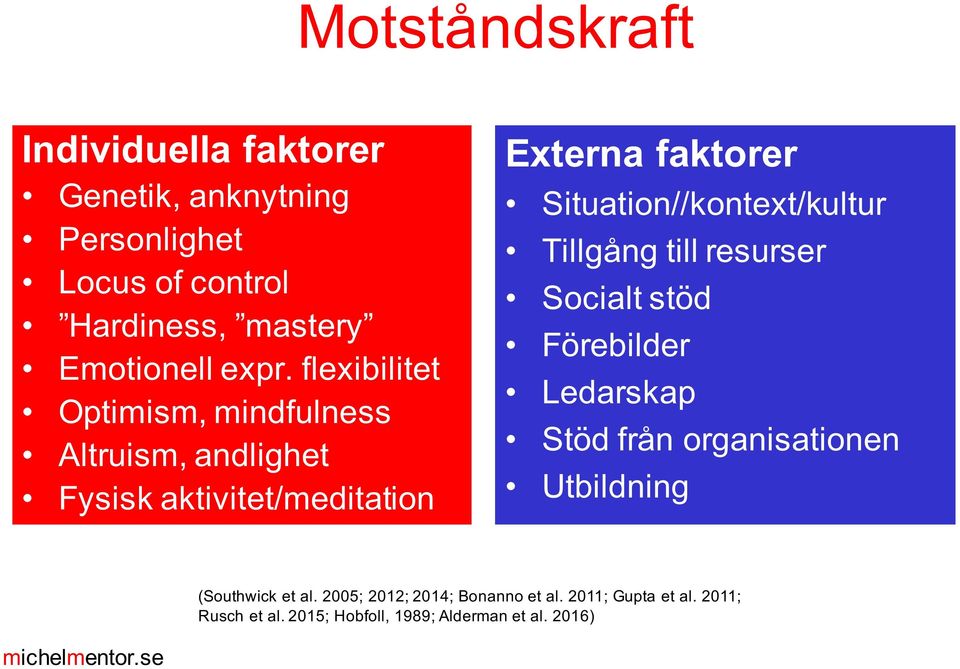 Situation//kontext/kultur Tillgång till resurser Socialt stöd Förebilder Ledarskap Stöd från organisationen Utbildning