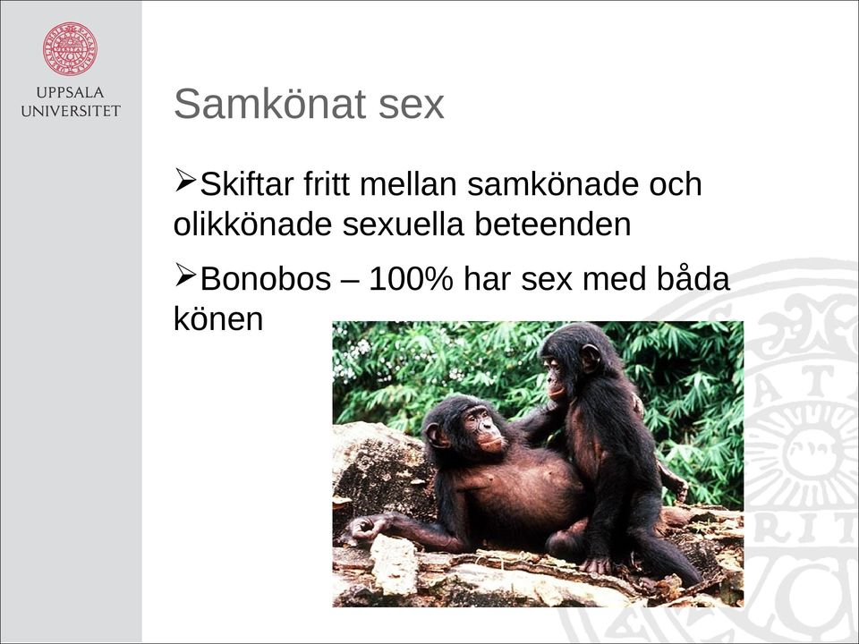 olikkönade sexuella