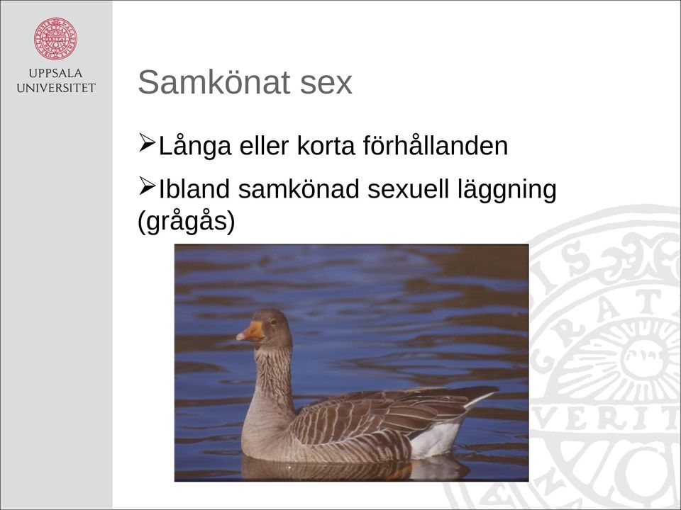 förhållanden Ibland