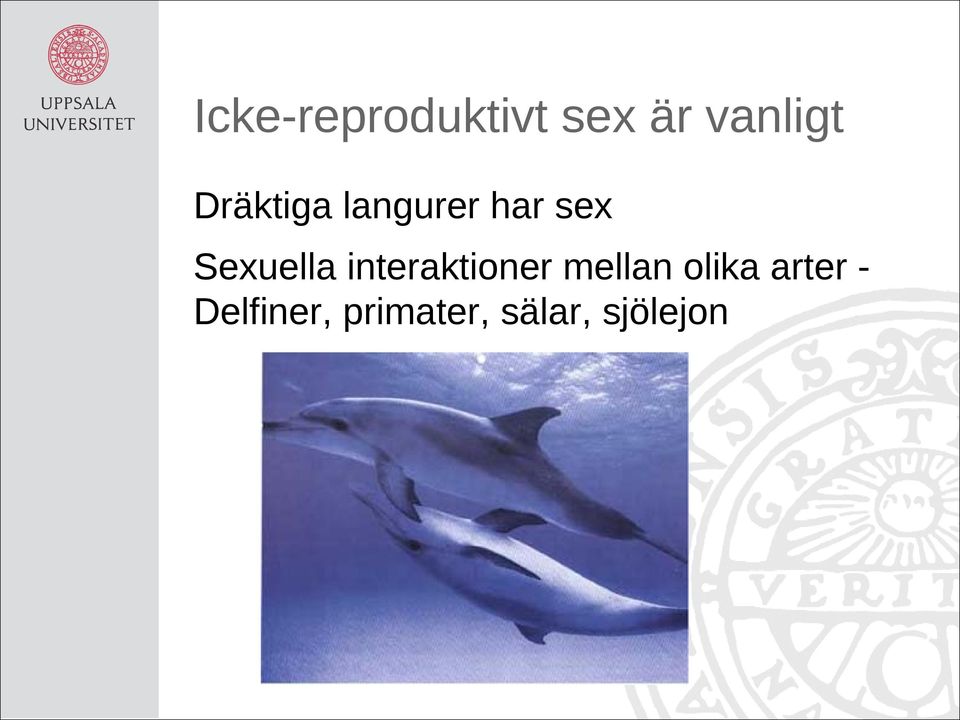 Sexuella interaktioner mellan