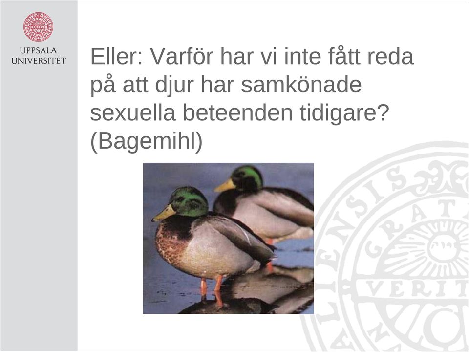 samkönade sexuella