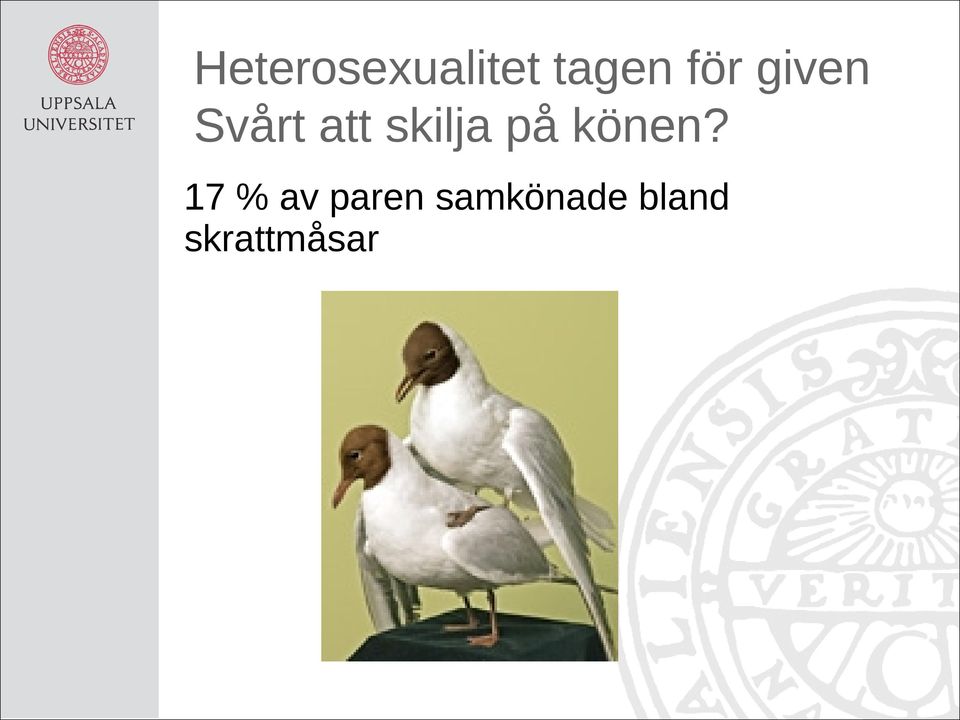 skilja på könen?