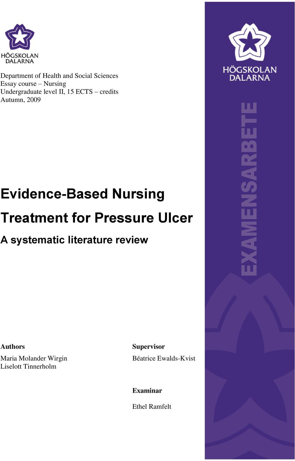 Pressure Ulcer A systematic literature review Authors Maria Molander Wirgin