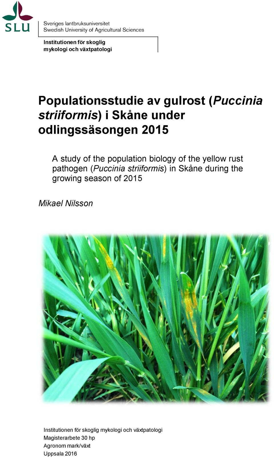 rust pathogen (Puccinia striiformis) in Skåne during the growing season of 2015 Mikael Nilsson