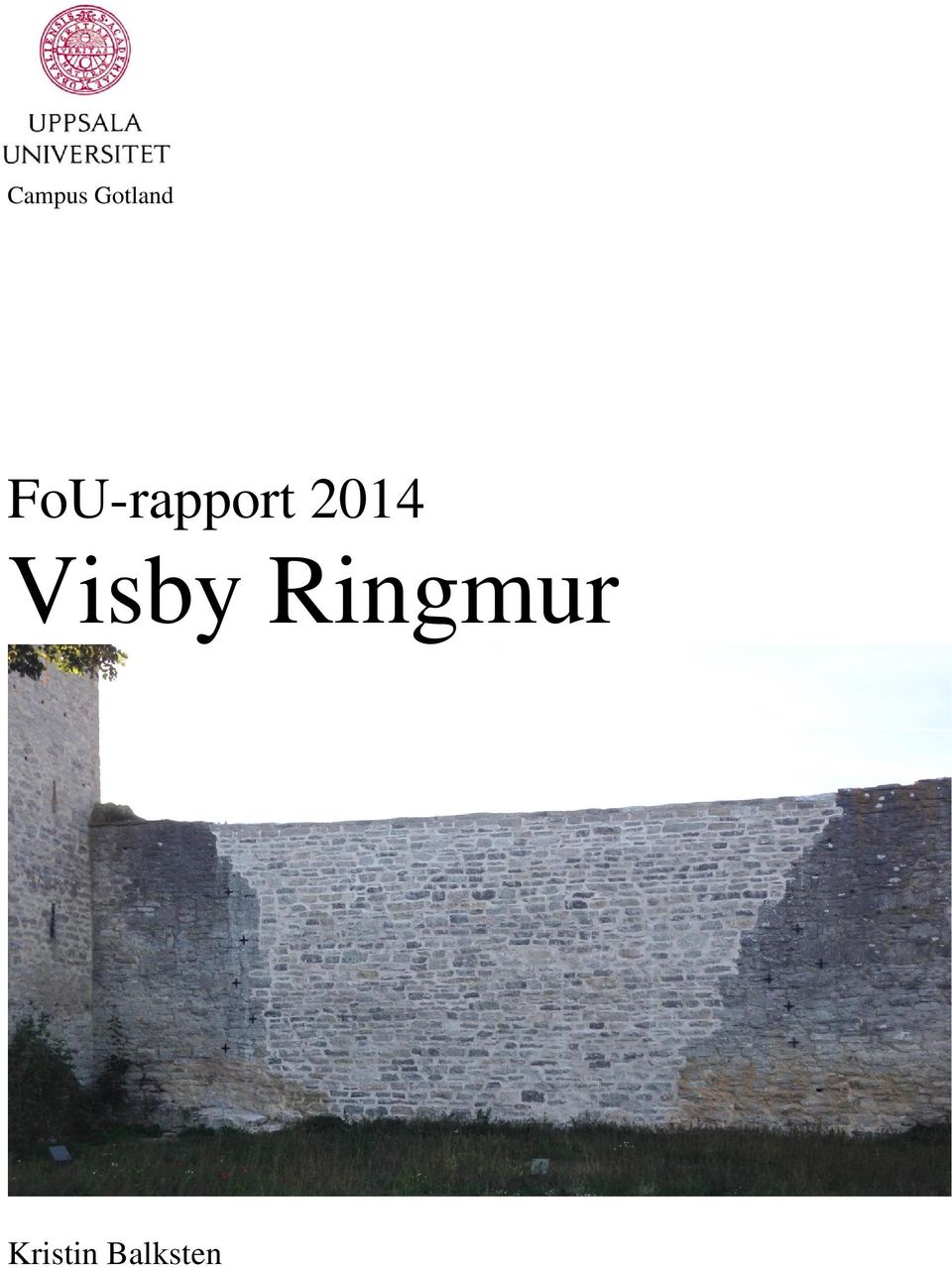 2014 Visby