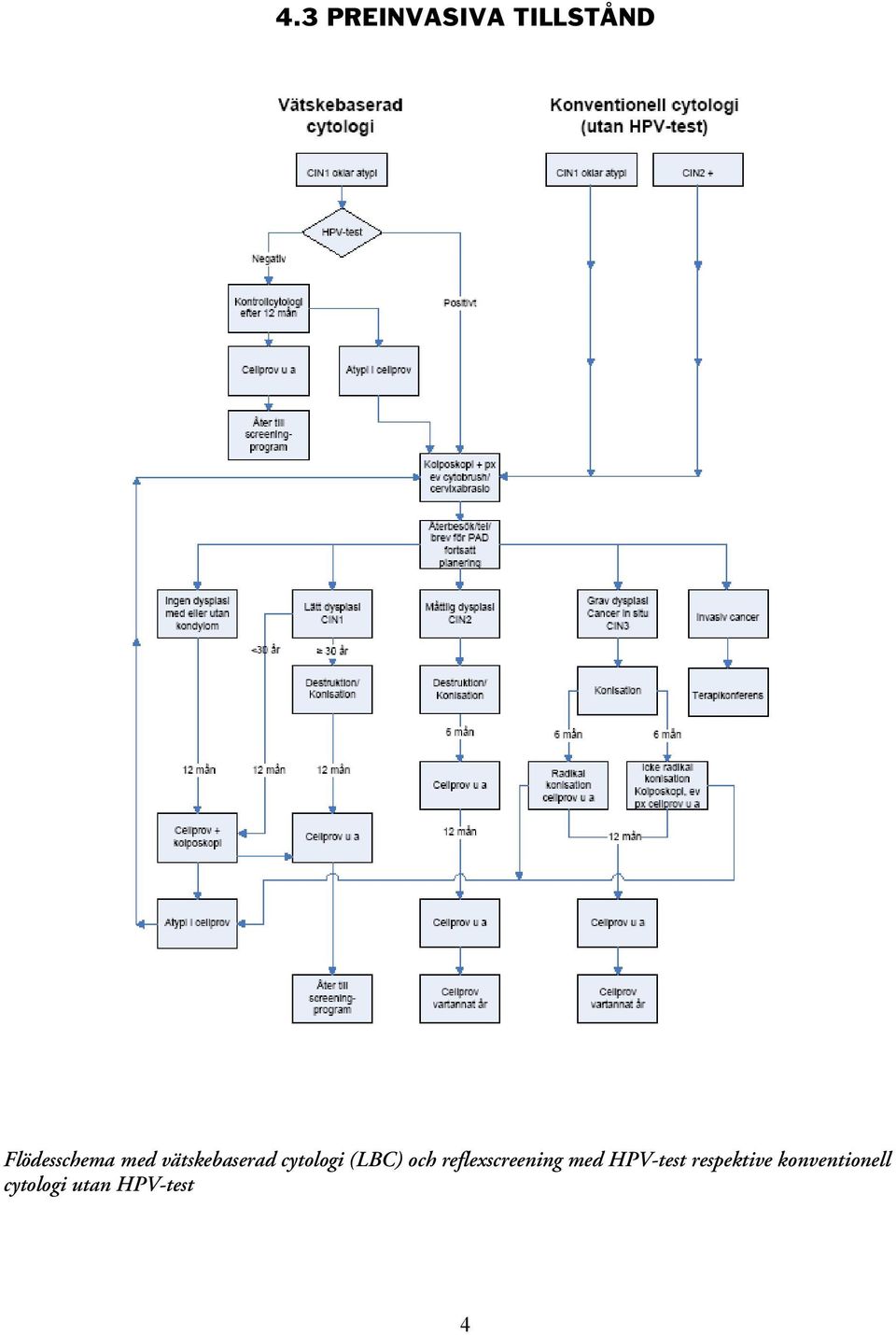 reflexscreening med HPV-test