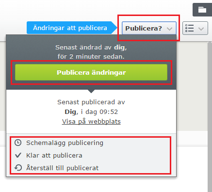 Vill man att en sida ska visas i menyn på hemsidan så bockar man i rutan Visa i navigering. I den gamla versionen så hette detta alternativ Visa sidan i menyn.