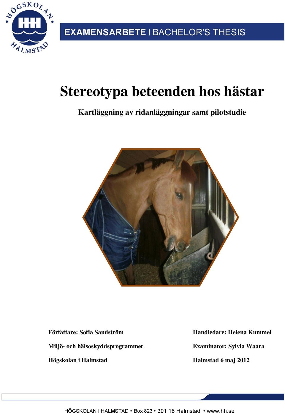hälsoskyddsprogrammet Högskolan i Halmstad Handledare: Helena Kummel