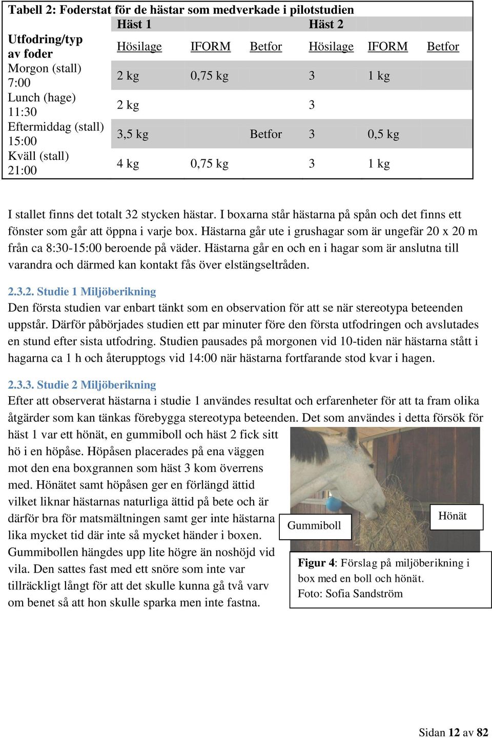 I boxarna står hästarna på spån och det finns ett fönster som går att öppna i varje box. Hästarna går ute i grushagar som är ungefär 20 x 20 m från ca 8:30-15:00 beroende på väder.