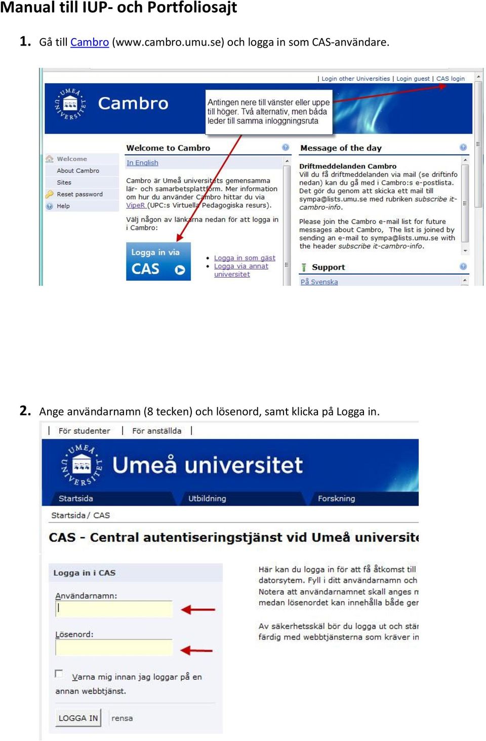 se) och logga in som CAS-användare. 2.