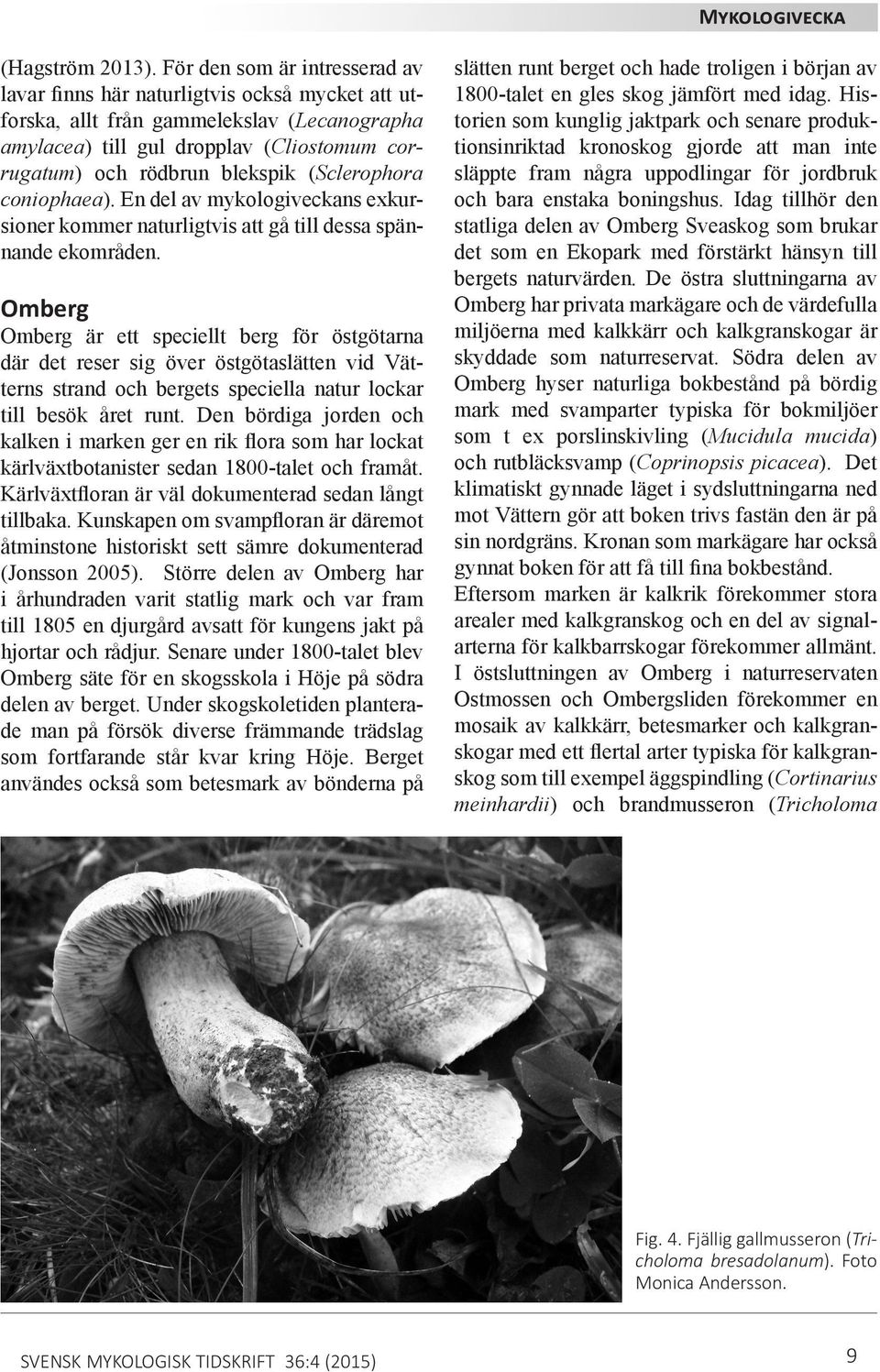 (Sclerophora coniophaea). En del av mykologiveckans exkursioner kommer naturligtvis att gå till dessa spännande ekområden.