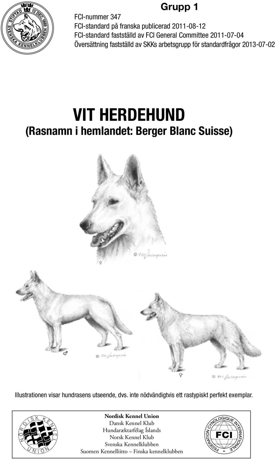 Berger Blanc Suisse) Illustrationen visar hundrasens utseende, dvs. inte nödvändigtvis ett rastypiskt perfekt exemplar.