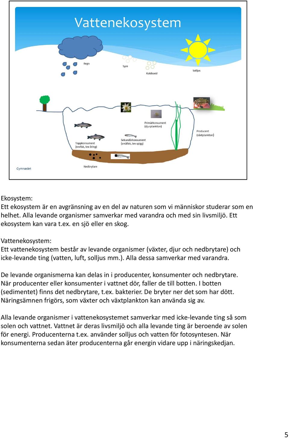 De levande organismerna kan delas in i producenter, konsumenter och nedbrytare. När producenter eller konsumenter i vattnet dör, faller de till botten. I botten (sedimentet) finns det nedbrytare, t.