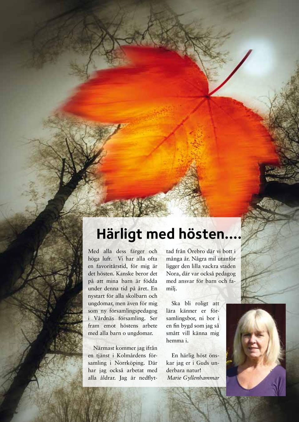 Närmast kommer jag ifrån en tjänst i Kolmårdens församling i Norrköping. Där har jag också arbetat med alla åldrar. Jag är nedflyttad från Örebro där vi bott i många år.