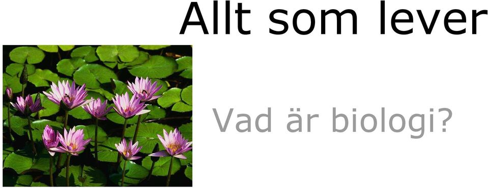 är