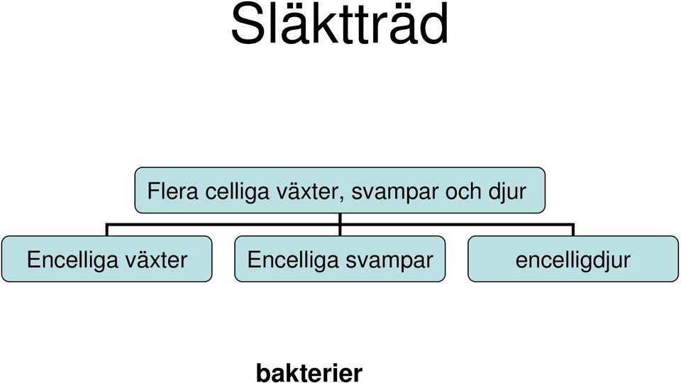 Encelliga växter Encelliga